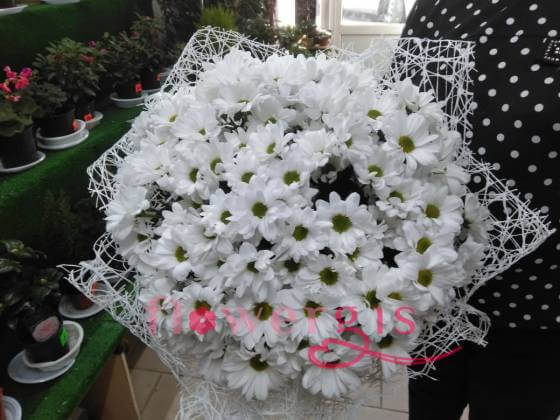 Запах ромашек